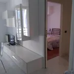 Il Tulipano