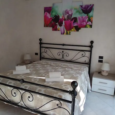 Il Tulipano *